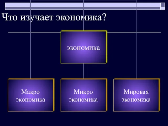 Что изучает экономика?