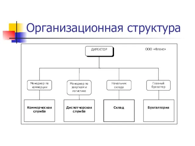 Организационная структура