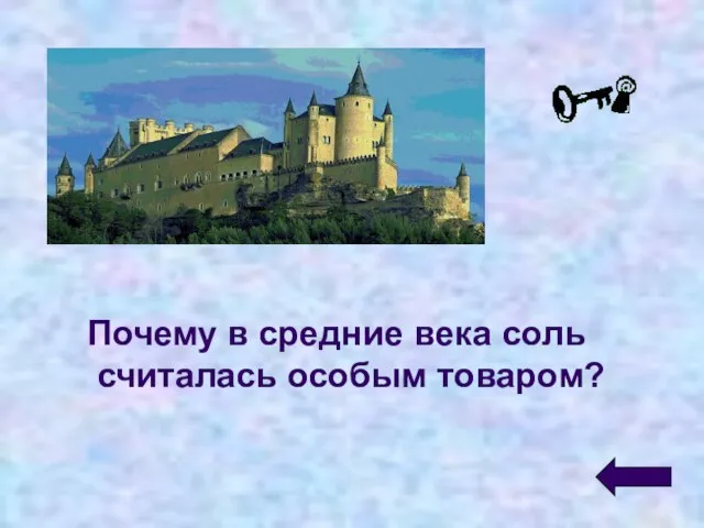 Почему в средние века соль считалась особым товаром?