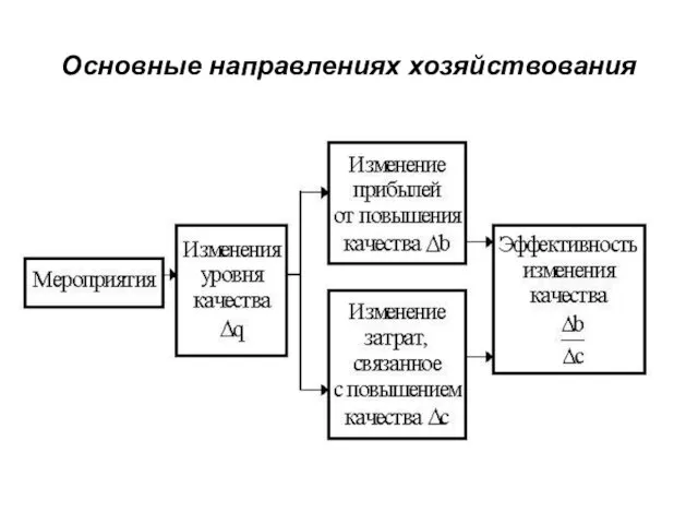 Основные направлениях хозяйствования