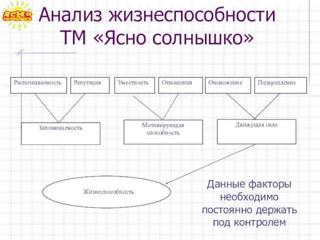 Анализ жизнеспособности ТМ «Ясно солнышко» Распознаваемость Репутация Уместность Отношения Омоложение Подкрепление Запоминаемость