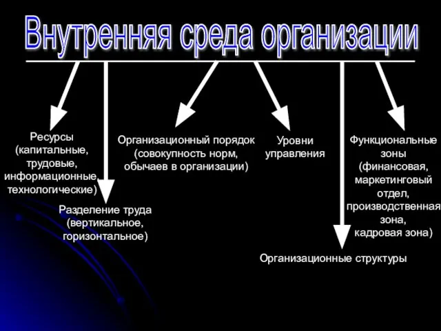 Внутренняя среда организации Ресурсы (капитальные, трудовые, информационные, технологические) Разделение труда (вертикальное, горизонтальное)