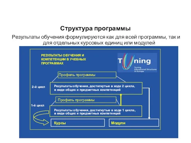 Структура программы Результаты обучения формулируются как для всей программы, так и для