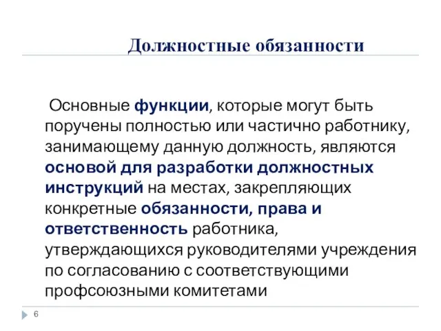 Должностные обязанности Основные функции, которые могут быть поручены полностью или частично работнику,