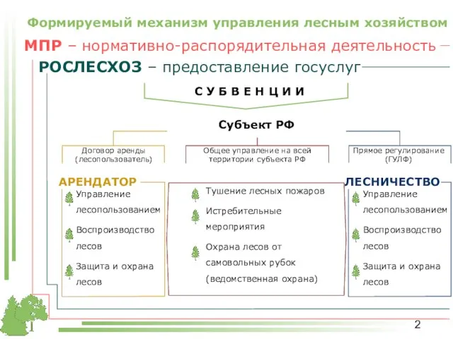 Формируемый механизм управления лесным хозяйством МПР – нормативно-распорядительная деятельность РОСЛЕСХОЗ – предоставление