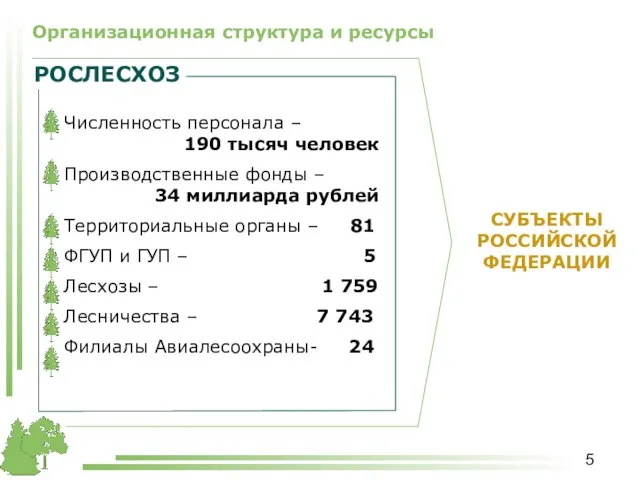 Организационная структура и ресурсы РОСЛЕСХОЗ СУБЪЕКТЫ РОССИЙСКОЙ ФЕДЕРАЦИИ Численность персонала – 190