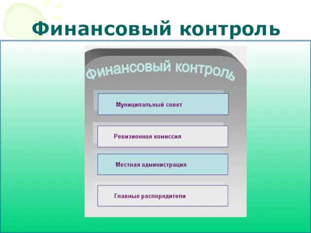 Финансовый контроль