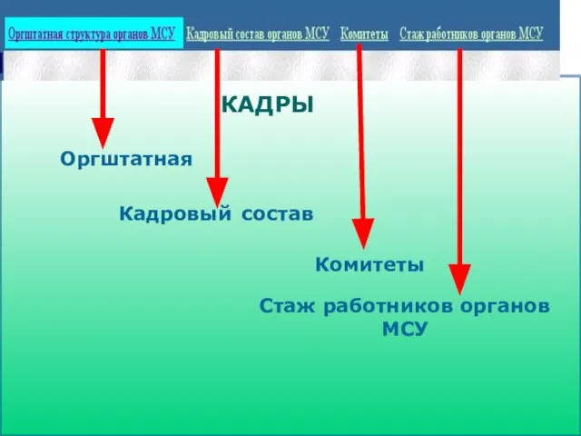 КАДРЫ Оргштатная Кадровый состав Комитеты Стаж работников органов МСУ