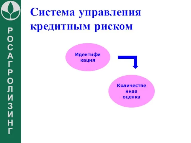 Система управления кредитным риском Идентификация Количественная оценка