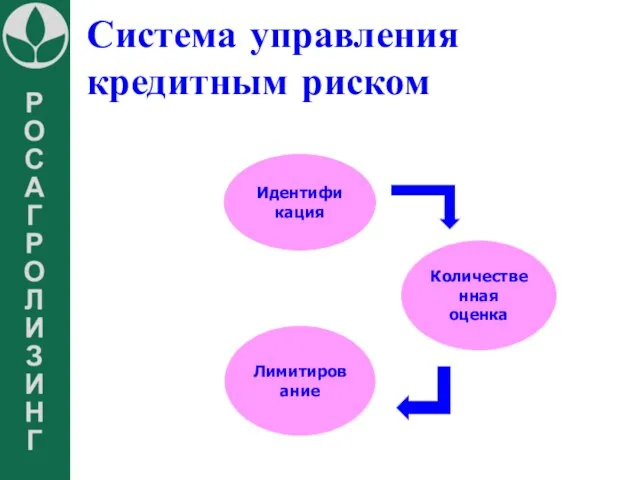 Система управления кредитным риском Идентификация Количественная оценка Лимитирование