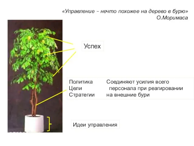 Политика Соединяют усилия всего Цели персонала при реагировании Стратегии на внешние бури