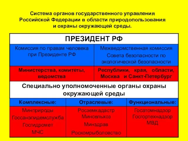 Система органов государственного управления Российской Федерации в области природопользования и охраны окружающей среды.