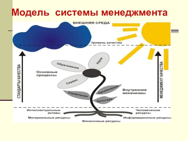 Модель системы менеджмента