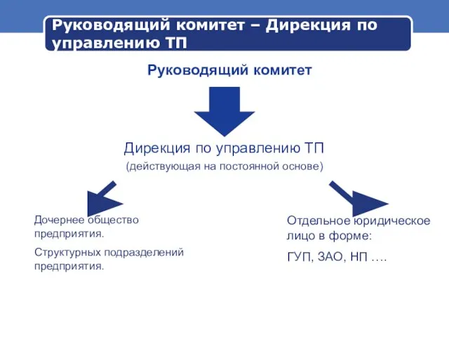 Руководящий комитет – Дирекция по управлению ТП Руководящий комитет Дирекция по управлению