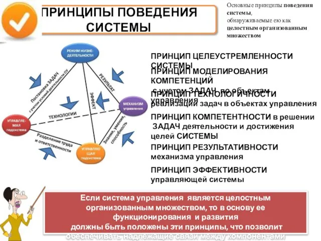 ПРИНЦИПЫ ПОВЕДЕНИЯ СИСТЕМЫ Основные принципы поведения системы, обнаруживаемые ею как целостным организованным