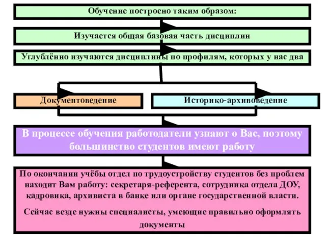 Документоведение Историко-архивоведение Обучение построено таким образом: Изучается общая базовая часть дисциплин Углублённо