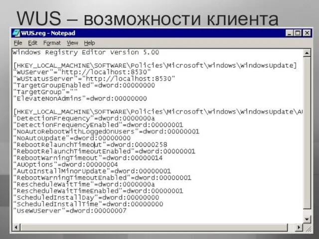 Частота опроса WUS Server’а Оповещения о необходимости установки Разумное поведение при необходимости