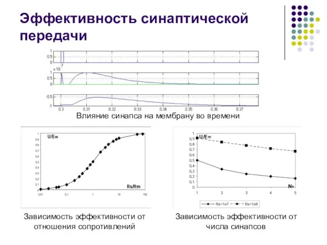 Эффективность синаптической передачи Влияние синапса на мембрану во времени Зависимость эффективности от