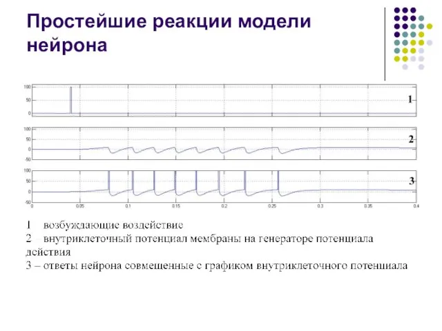 Простейшие реакции модели нейрона