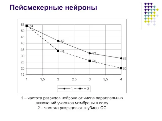 Пейсмекерные нейроны 1 – частота разрядов нейрона от числа параллельных включений участков