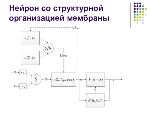 Нейрон со структурной организацией мембраны