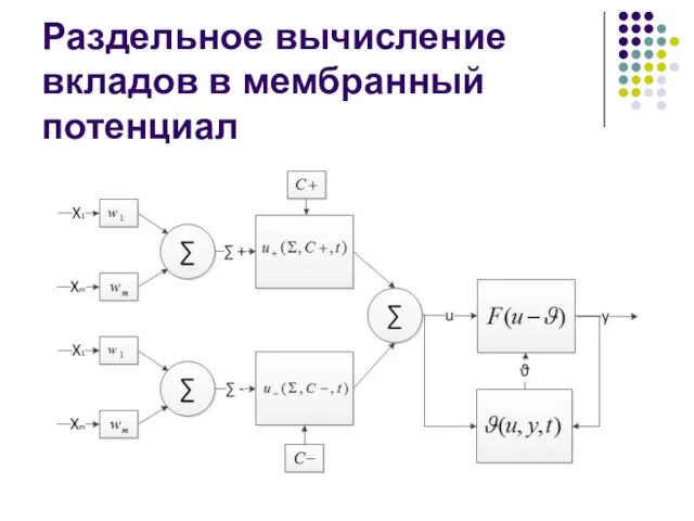 Раздельное вычисление вкладов в мембранный потенциал