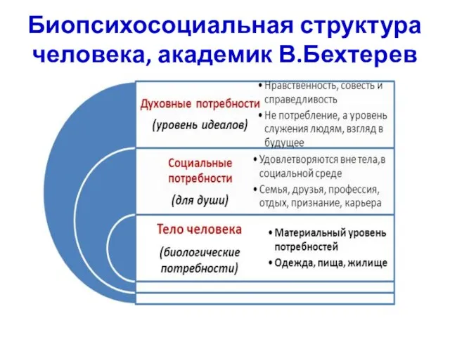 Биопсихосоциальная структура человека, академик В.Бехтерев