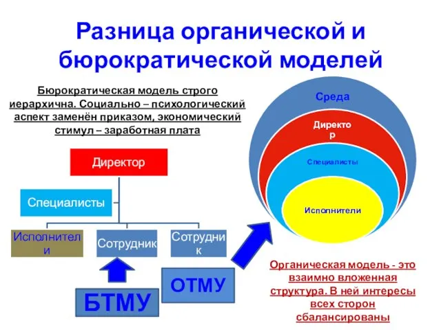 Разница органической и бюрократической моделей БТМУ ОТМУ Бюрократическая модель строго иерархична. Социально