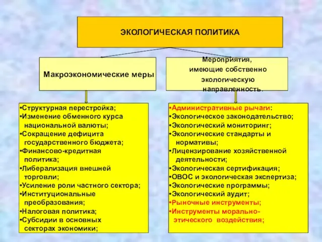 ЭКОЛОГИЧЕСКАЯ ПОЛИТИКА Макроэкономические меры Мероприятия, имеющие собственно экологическую направленность. Структурная перестройка; Изменение