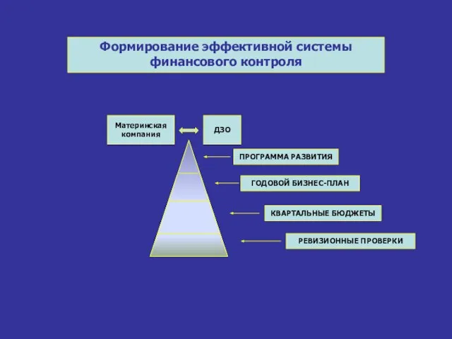 Материнская компания ДЗО ПРОГРАММА РАЗВИТИЯ ГОДОВОЙ БИЗНЕС-ПЛАН КВАРТАЛЬНЫЕ БЮДЖЕТЫ РЕВИЗИОННЫЕ ПРОВЕРКИ Формирование эффективной системы финансового контроля