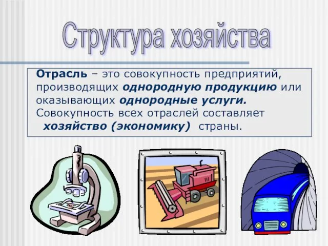 Структура хозяйства Отрасль – это совокупность предприятий, производящих однородную продукцию или оказывающих