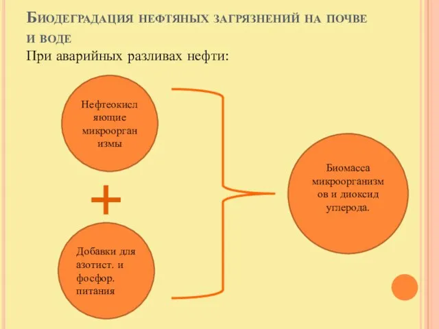 Биодеградация нефтяных загрязнений на почве и воде При аварийных разливах нефти: Нефтеокисляющие