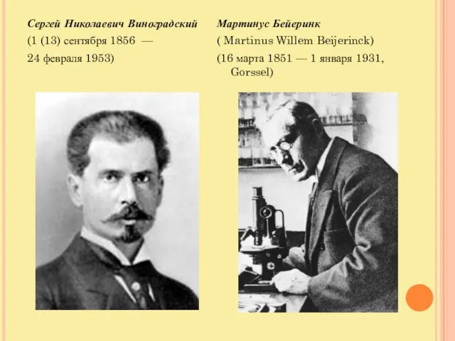 Сергей Николаевич Виноградский (1 (13) сентября 1856 — 24 февраля 1953) Мартинус