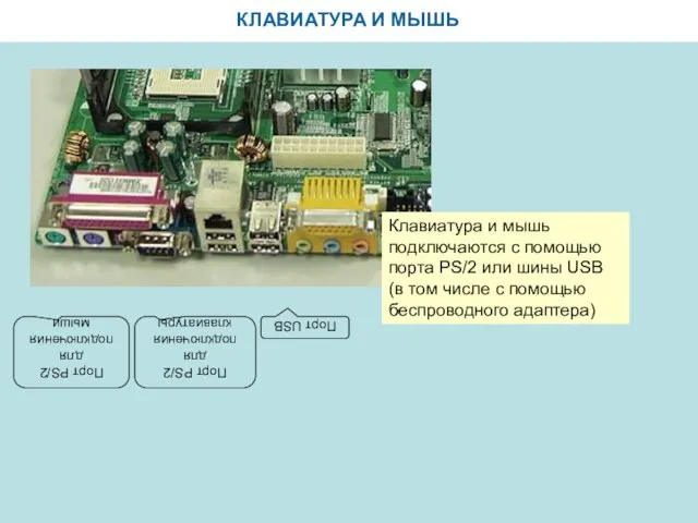 КЛАВИАТУРА И МЫШЬ Клавиатура и мышь подключаются с помощью порта PS/2 или