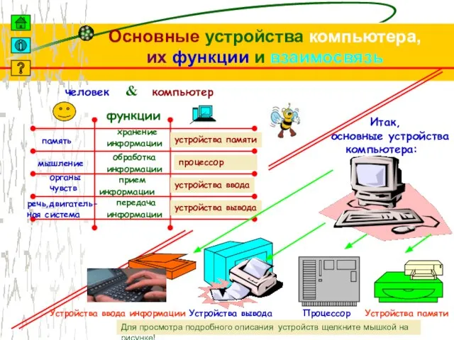 Основные устройства компьютера, их функции и взаимосвязь человек компьютер & функции хранение