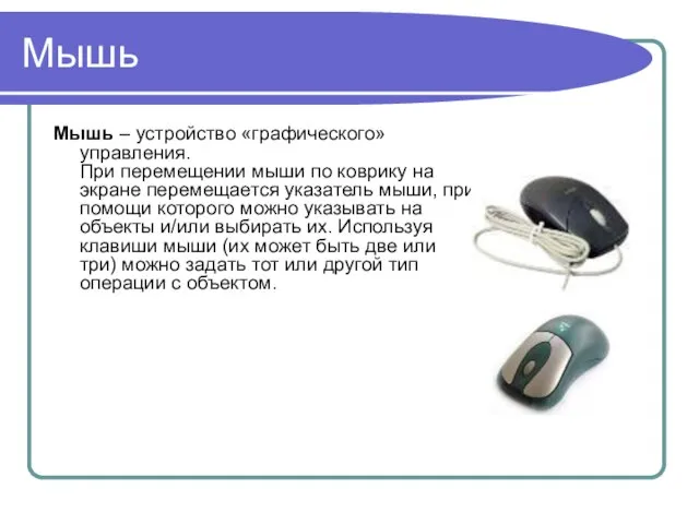 Мышь Мышь – устройство «графического» управления. При перемещении мыши по коврику на