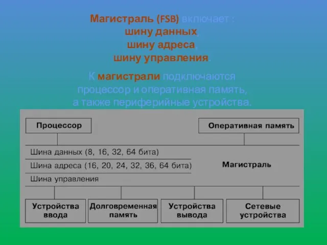 Магистраль (FSB) включает : шину данных, шину адреса, шину управления. К магистрали