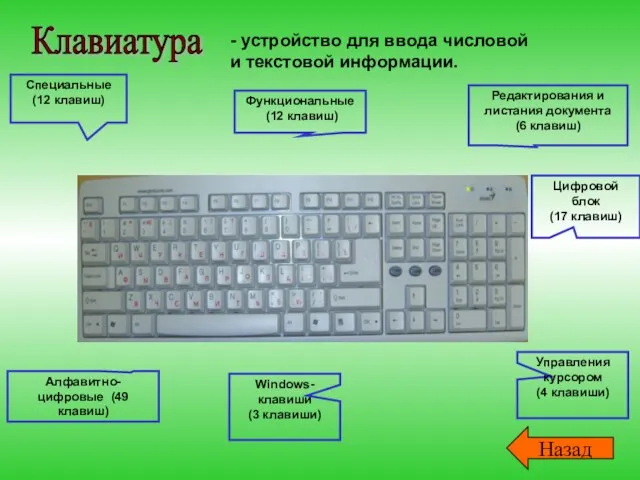 Клавиатура - устройство для ввода числовой и текстовой информации. Функциональные (12 клавиш)