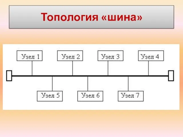 Топология «шина»