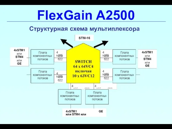 FlexGain A2500 Структурная схема мультиплексора