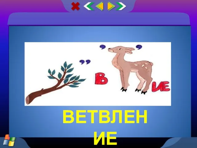 ВЕТВЛЕНИЕ