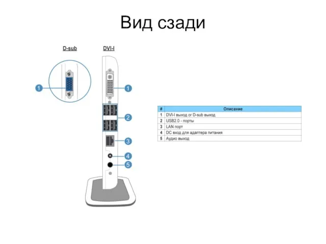 Вид сзади