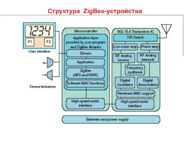 Структура ZigBee-устройства