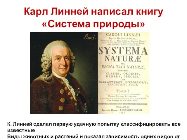 Карл Линней написал книгу «Система природы» К. Линней сделал первую удачную попытку