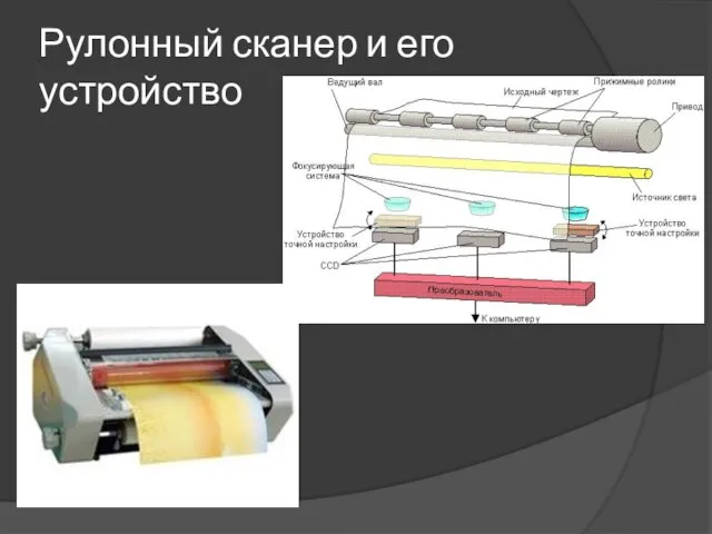 Рулонный сканер и его устройство