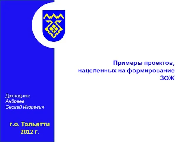 г.о. Тольятти 2012 г. Примеры проектов, нацеленных на формирование ЗОЖ Докладчик: Андреев Сергей Игоревич