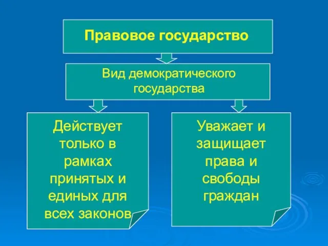 Правовое государство Вид демократического государства Действует только в рамках принятых и единых