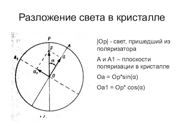 Разложение света в кристалле |Op| - свет, пришедший из поляризатора А и