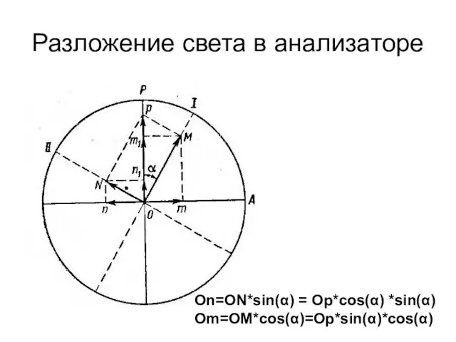 Разложение света в анализаторе On=ON*sin(α) = Op*cos(α) *sin(α) Om=OM*cos(α)=Op*sin(α)*cos(α)