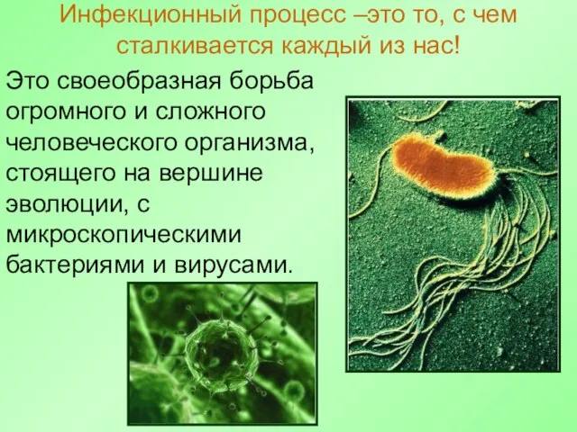 Инфекционный процесс –это то, с чем сталкивается каждый из нас! Это своеобразная